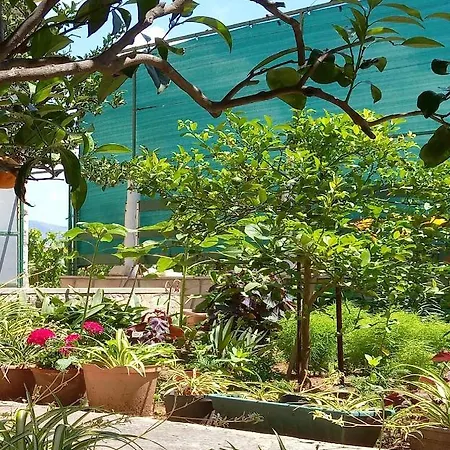 Kata شقة لومباردا