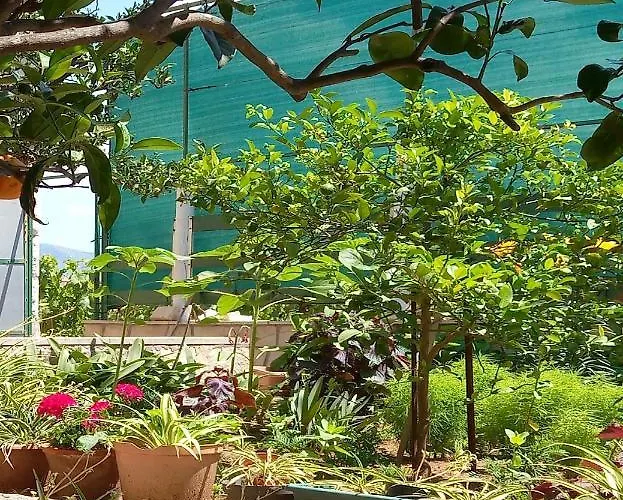 Kata Lejlighed Lumbarda